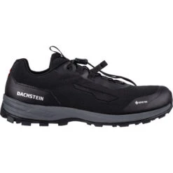 Dachstein Delta Rise 2.0 GTX Shoes Men, Noir