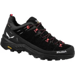 SALEWA Alp Trainer 2 GTX Chaussures Femme, Noir