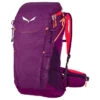 SALEWA Alp Trainer 20 Sac à Dos Femme, Violet